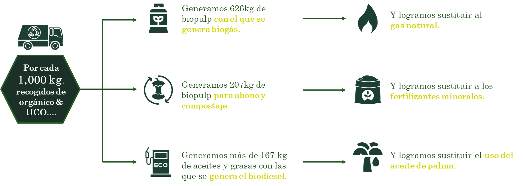 image (1)