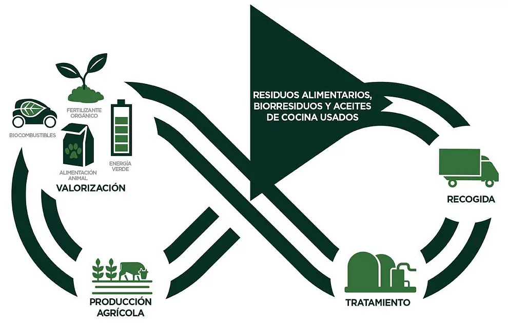ReFood es la solución para reducir y transformar el desperdicio alimentario